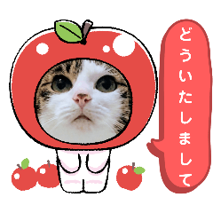 [LINEスタンプ] きららちゃんの季節の移ろいスタンプ