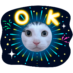 [LINEスタンプ] べる君の季節の移ろいスタンプ