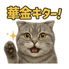 [LINEスタンプ] 週末だ！スコティッシュホールドの華金