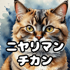 [LINEスタンプ] 水彩タッチのマンチカン日和