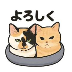 [LINEスタンプ] ヒロモン猫