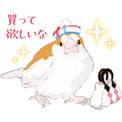 [LINEスタンプ] ジュウシマツ！使いやすいスタンプ2