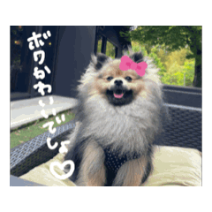 [LINEスタンプ] てっしゃんちゅたんぷ！