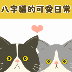 [LINEスタンプ] 【台湾】毎日使えるハチワレコンビ【動く】