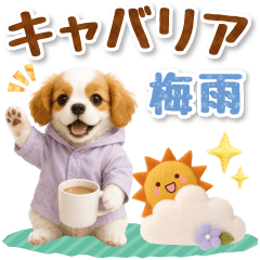 [LINEスタンプ] 大人可愛いキャバリアで梅雨の気づかい敬語