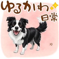 [LINEスタンプ] ゆるかわボーダー・コリーの日常