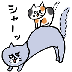 [LINEスタンプ] 灰色キャットと猫ともだち
