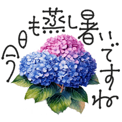 [LINEスタンプ] 大人の挨拶♡梅雨～夏♡品よくおしゃれに