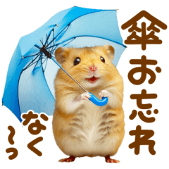 [LINEスタンプ] 梅雨初夏♡ハムスター