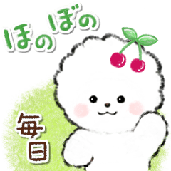 [LINEスタンプ] ず～っと使える★ほのぼのビションフリーゼ