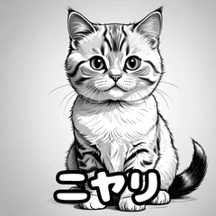 [LINEスタンプ] 色鉛筆マンチカンのほっこりフレーズ
