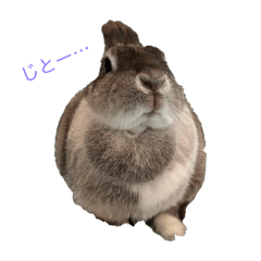 [LINEスタンプ] こめぽよの画像（メイン）