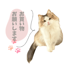 [LINEスタンプ] ViVi STAMP 3