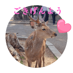 [LINEスタンプ] 大和言葉のスタンプ