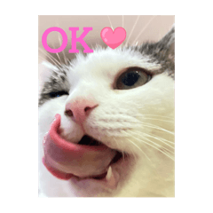 [LINEスタンプ] もなかのもんちゃん2.5