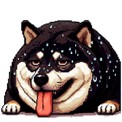 [LINEスタンプ] 無言で伝える太っちょ黒柴2