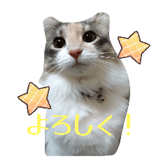 [LINEスタンプ] あすねこのスタンプ4