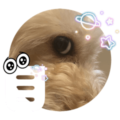 [LINEスタンプ] めるるのからだ