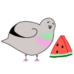 [LINEスタンプ] モコモコなハトさん2 (夏)