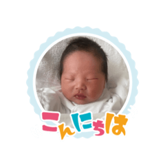[LINEスタンプ] 琥珀の日常スタンプ✨️