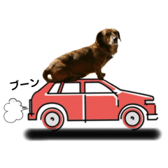 [LINEスタンプ] 愛犬ことらの使えるスタンプ（15）