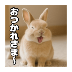 [LINEスタンプ] ポジティブなうさぎ