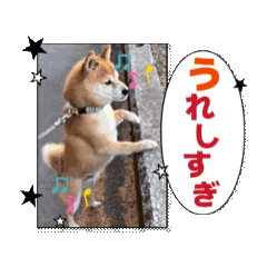 [LINEスタンプ] 踊る源