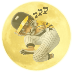 [LINEスタンプ] 野球が好きなんだ13