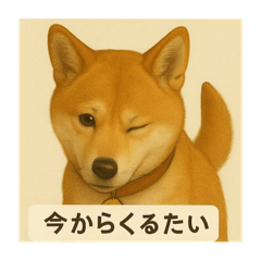 [LINEスタンプ] 久留米弁の柴犬、大吉