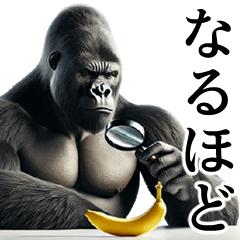 [LINEスタンプ] 【あいづち】イケメンゴリラ