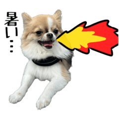 [LINEスタンプ] あざと犬ぴの