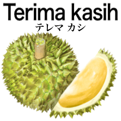 [LINEスタンプ] 熟した ドリアン 【インドネシア語】