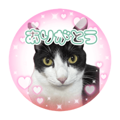 [LINEスタンプ] らい丸スタンプ☆2