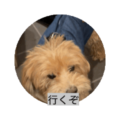 [LINEスタンプ] エルモ社長、動きます