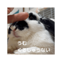 [LINEスタンプ] うごくもだスタンプ