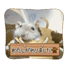[LINEスタンプ] さばちゃん ハムスター動くスタンプ①