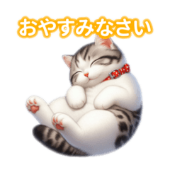 [LINEスタンプ] とにかくかわいい ジャパニーズボブテイル