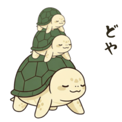 [LINEスタンプ] かめさん！！！！