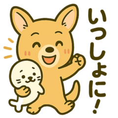 [LINEスタンプ] カンガルーと白アザラシの毎日スタンプ