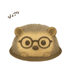 [LINEスタンプ] ハリネズミと過ごす毎日