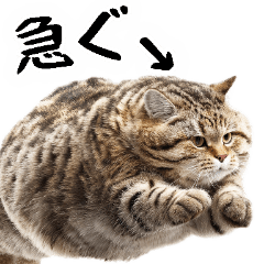 [LINEスタンプ] でぶ猫。(どんなシーンでも使える便利返信)