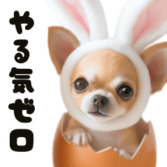 [LINEスタンプ] ❤️イースターエッグとだるいチワワ犬