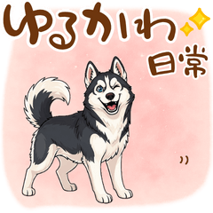 [LINEスタンプ] 元気いっぱい！ハスキーの日常スタンプ