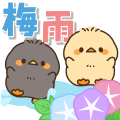 [LINEスタンプ] 飛び出す♪もっちりヒヨコ兄弟（梅雨）
