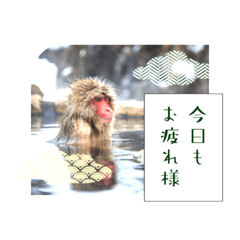 [LINEスタンプ] ユルイ1日
