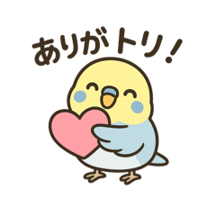 [LINEスタンプ] セキセイインコのしゅわちゃん