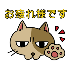 [LINEスタンプ] ビジネスに使えるかもしれない猫