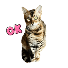 [LINEスタンプ] ユラのおかあさんが作ったスタンプ