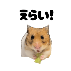 [LINEスタンプ] ハムスターのぴーぷる5