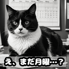 [LINEスタンプ] なまけ猫のゆるい日々